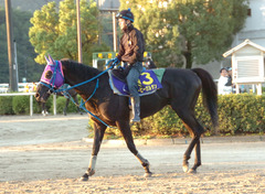 ビービーガルダン後