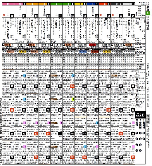 データ新聞_東京9R