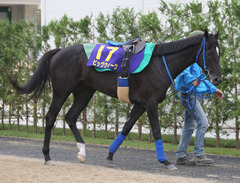 ビッグウィーク