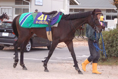 ローズキングダム後（１週前）
