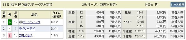チェック_激京王杯２歳払い戻し
