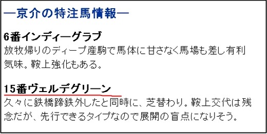 ガチンコ特注馬_土曜12R