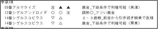 データ_1202日中京1R