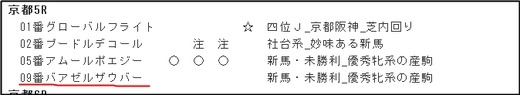 データ_1103土京都5R