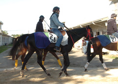 キングスエンブレム後