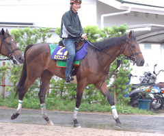 ロジユニヴァース後