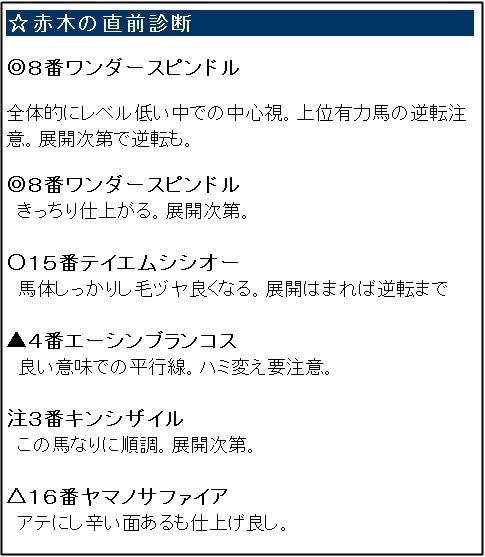 ガチンコ最終_0224阪神12R