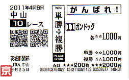 日中山10R複11.gif