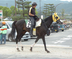 キャプテンベガ後