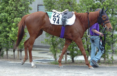 ムードインディゴ後