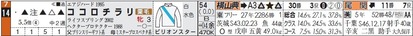 東京11R_ココロチラリ
