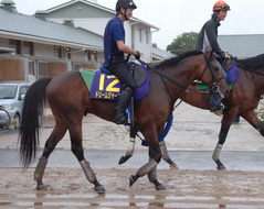 ドリームジャーニー後