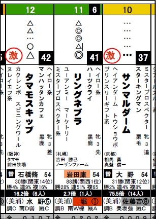 データb_0826日新潟4R