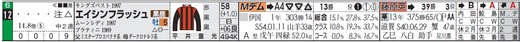 チェック_エイシンフラッシュ