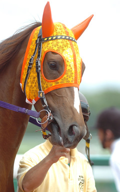 スライドハミ（ハミ身が反対側にスライドしている状態）