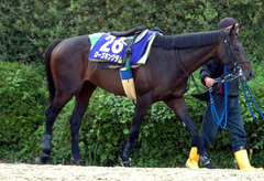 ローズキングダム（１週前）