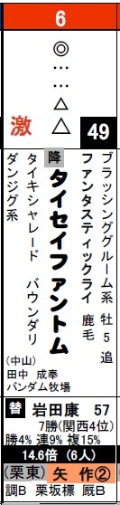 データ_0203東京12Rタイセイファントム