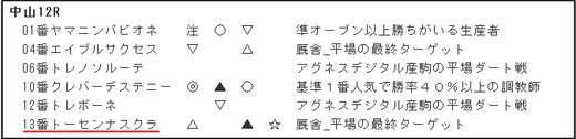 データ_日曜中山12R