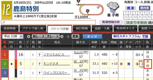 中山最終パドック情報