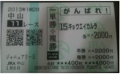 馬券_0106中山11R京介