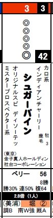 データ_0224中山6シュガーパイン
