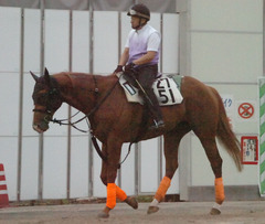 サマーウインド後