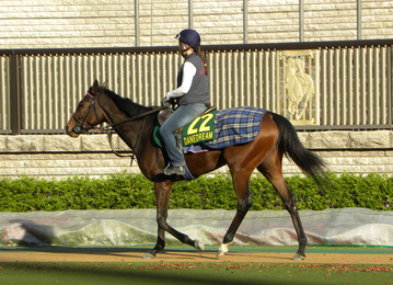 22デインドリーム001