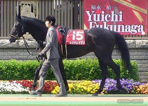 レッドレイヴン