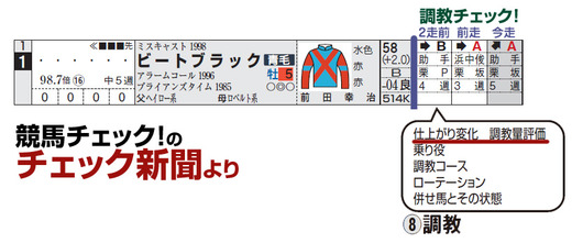 チェック_調教チェック