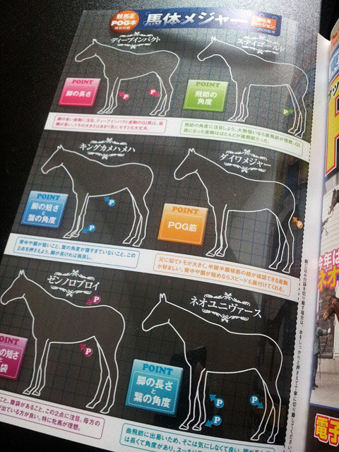 競馬王のPOG_馬体メジャー