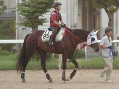 ダイショウジェット前