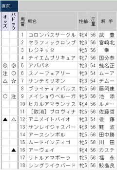 erijo_paddock