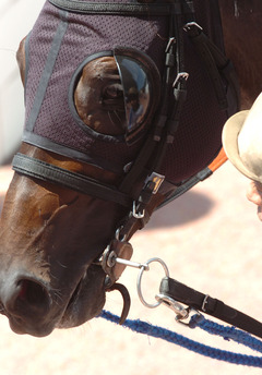 スライドハミ(ハミ身がスライドした状態）