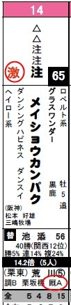 データ新聞_京都11Rメイショウカンパク