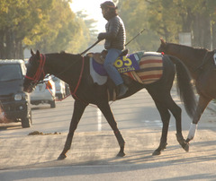 キングスエンブレム後