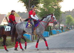 キャプテントゥーレ前