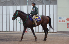 ルーラーシップ後