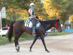 タマモナイスプレイ後