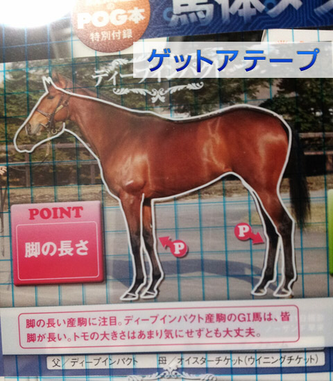 POGゲットアテープ