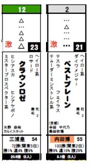 データ_日東京5R激走馬
