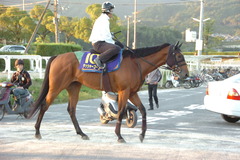 ダッシャーゴーゴー後