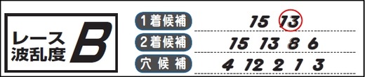 チェック_0106京都10Rチェックホース