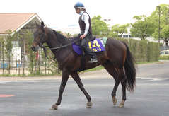 ヒルノダムール後