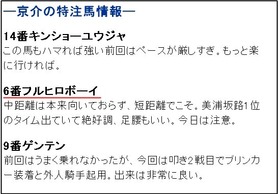 ガチンコ特注馬_土曜9R