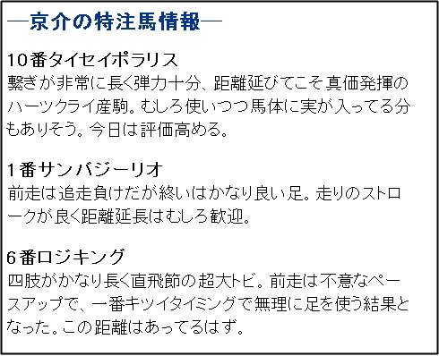 ガチンコ特注馬_ゆりかもめ