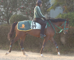 トライアンフマーチ後