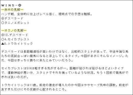WIN5_win3コメント