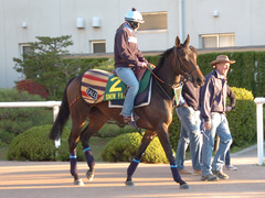 スノーフェアリー