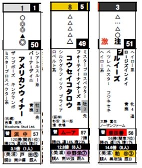 データ_日東京8R激走馬