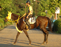 デグラーティア前